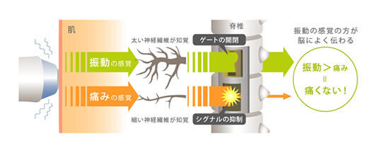 第三世代サーマクールCPTの特徴