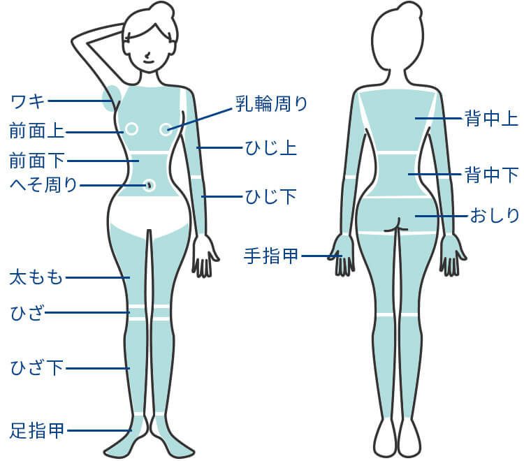全身脱毛(顔・うなじ・VIOを除く)