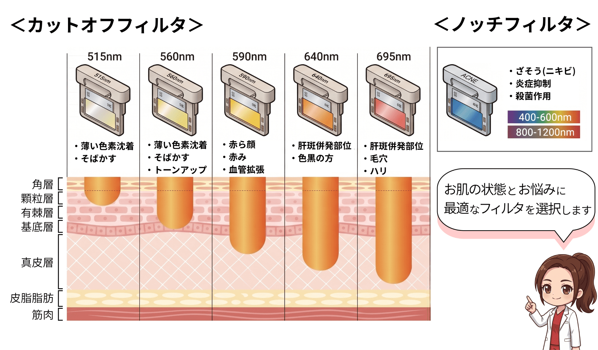 シミ・赤みに効く理由（メカニズムと豊富なフィルタ）